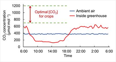 Frontiers | CO2 Enrichment In Greenhouse Production: Towards A ...